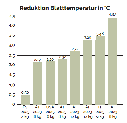 Versuche zeigen: Vitisol reduziert die Blatt- und Rebentemperatur um bis zu 4,3 °C – effektiver Schutz vor Hitzestress im Weinbau.