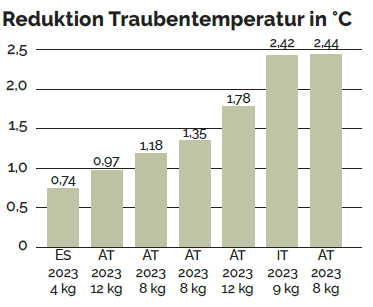 Versuche zeigen: Vitisol senkt die Traubentemperatur um bis zu 2,4 °C – wirksamer Schutz vor Hitzestress im Weinbau.