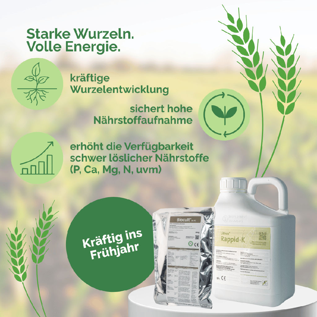 Frühlingspaket (2).webp