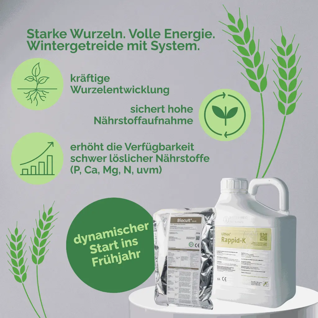 Winter Paket (2).webp