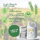 Frühlingspaket (2).webp