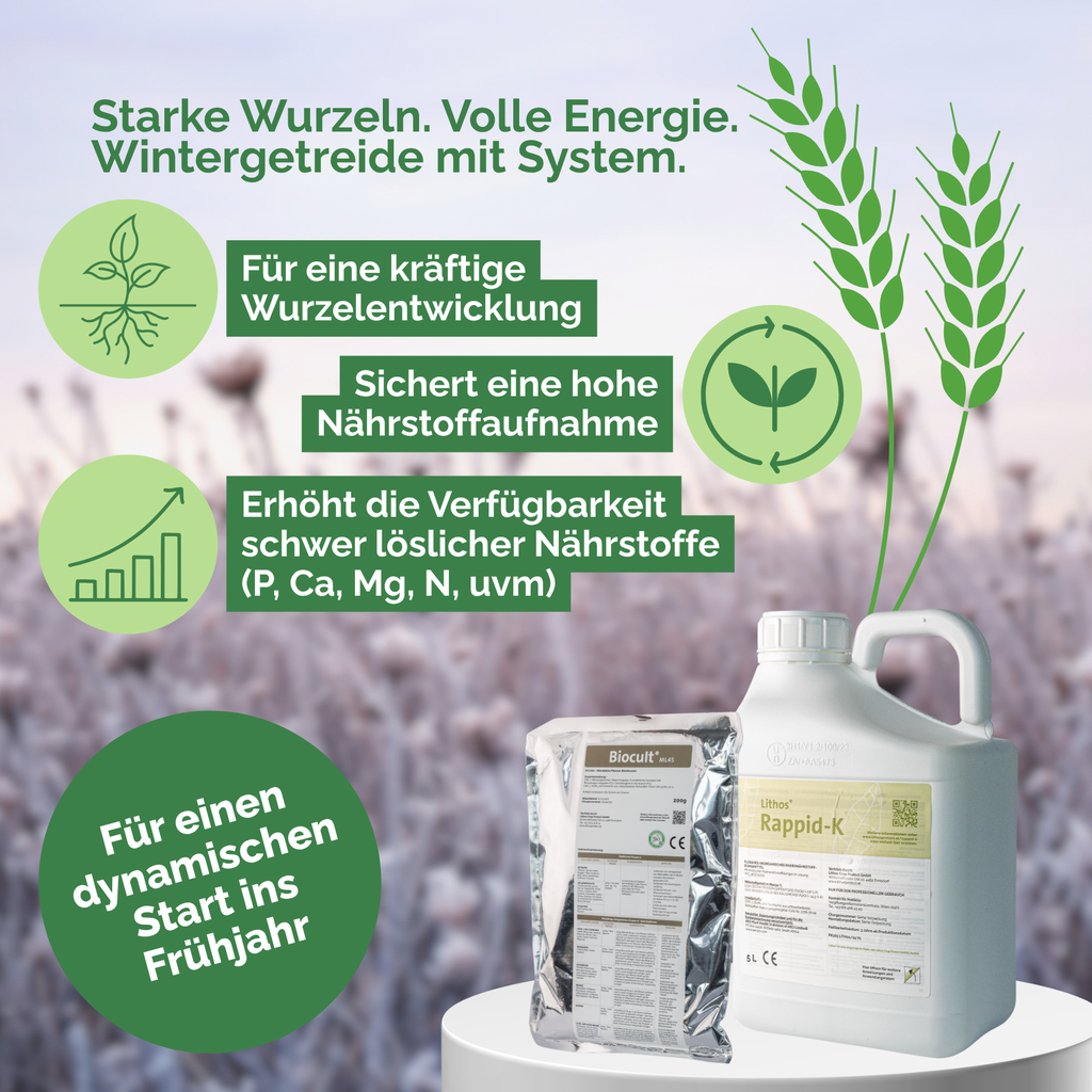Frühlingspaket (2).webp