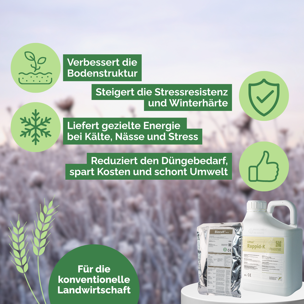 Winter Paket.webp